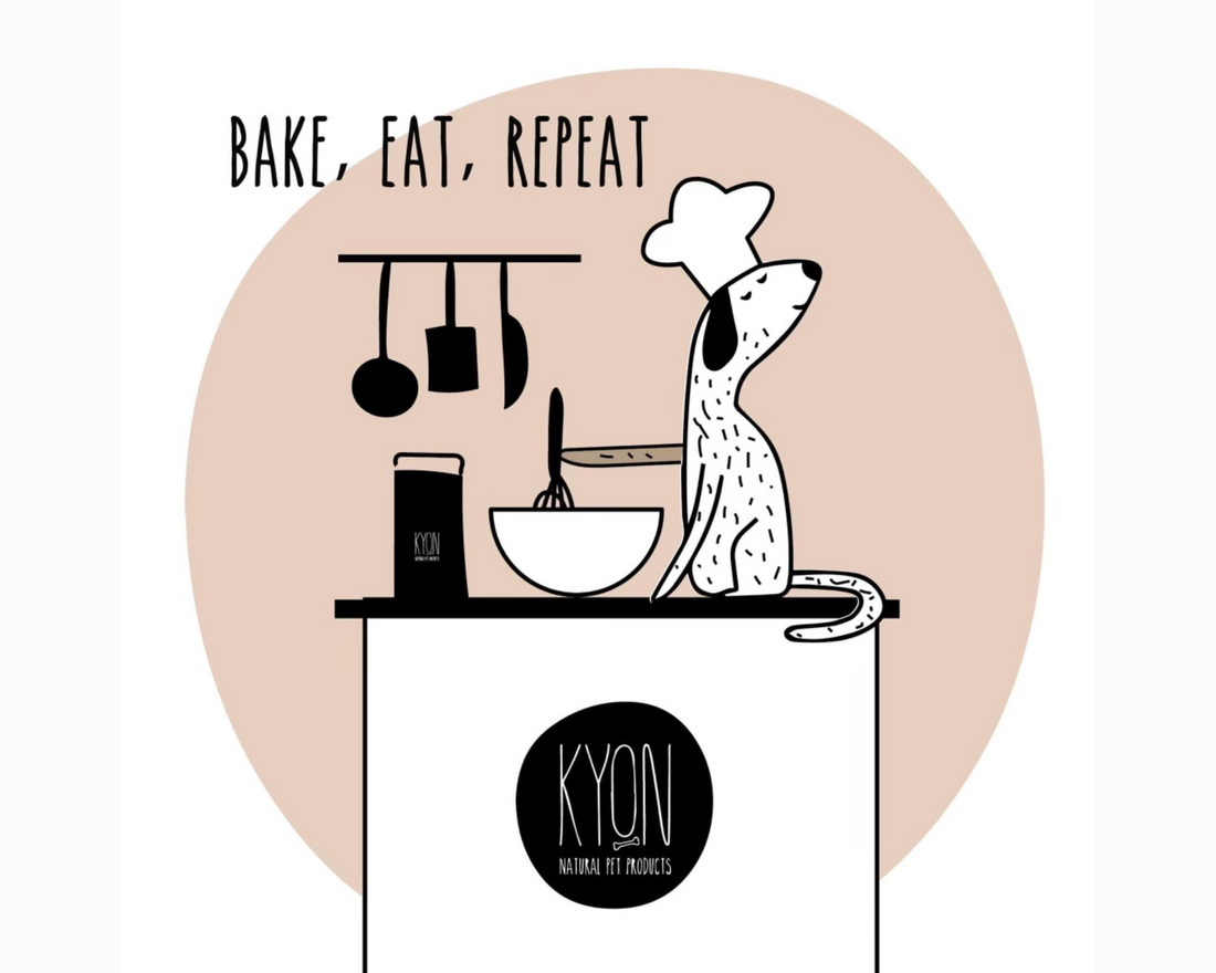 Συνταγή για τούρτα γενεθλίων για σκύλους