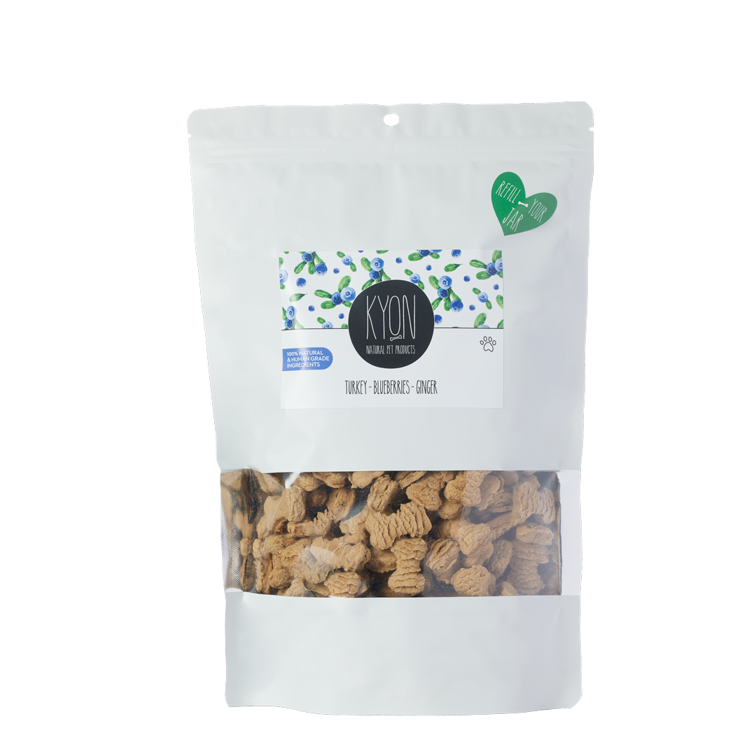 Treats With Turkey-Ginger-Blueberries