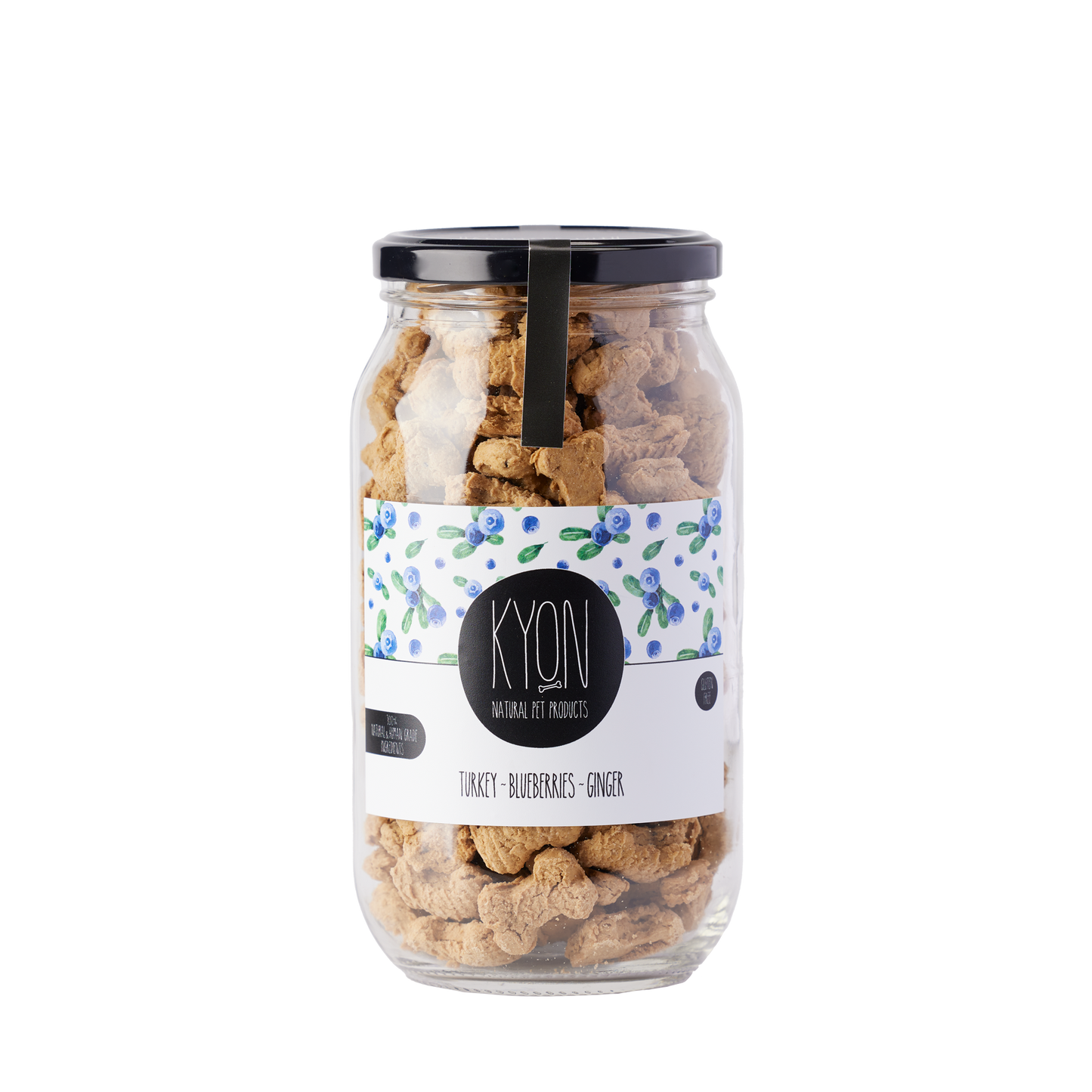 Treats With Turkey-Ginger-Blueberries