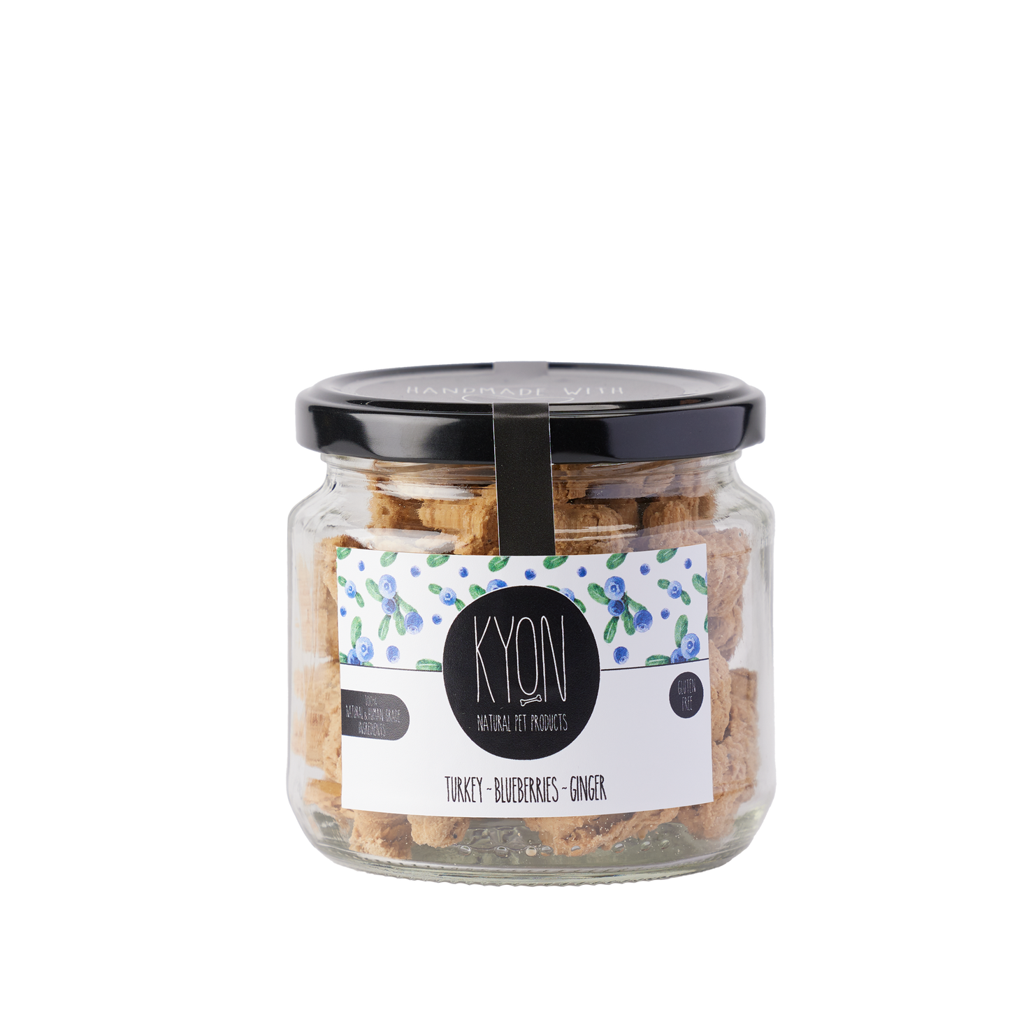 Treats With Turkey-Ginger-Blueberries