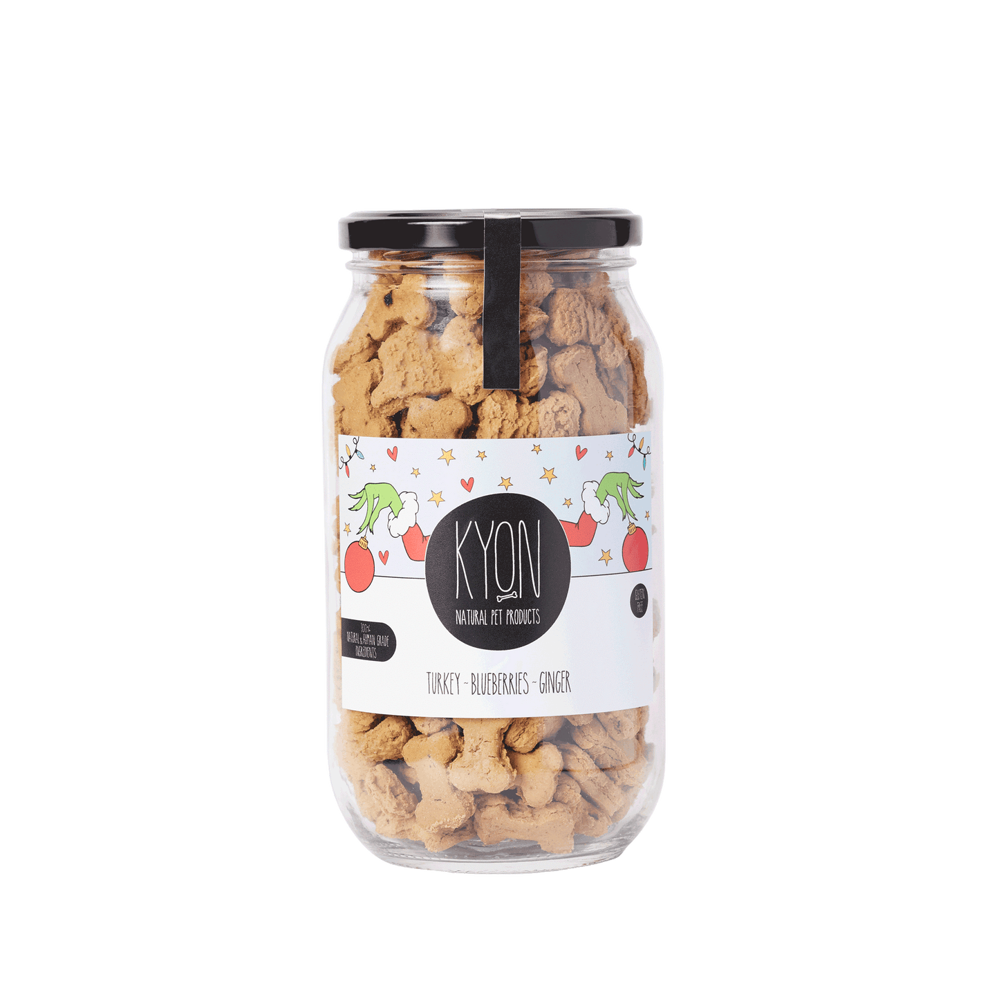 Treats With Turkey-Ginger-Blueberries