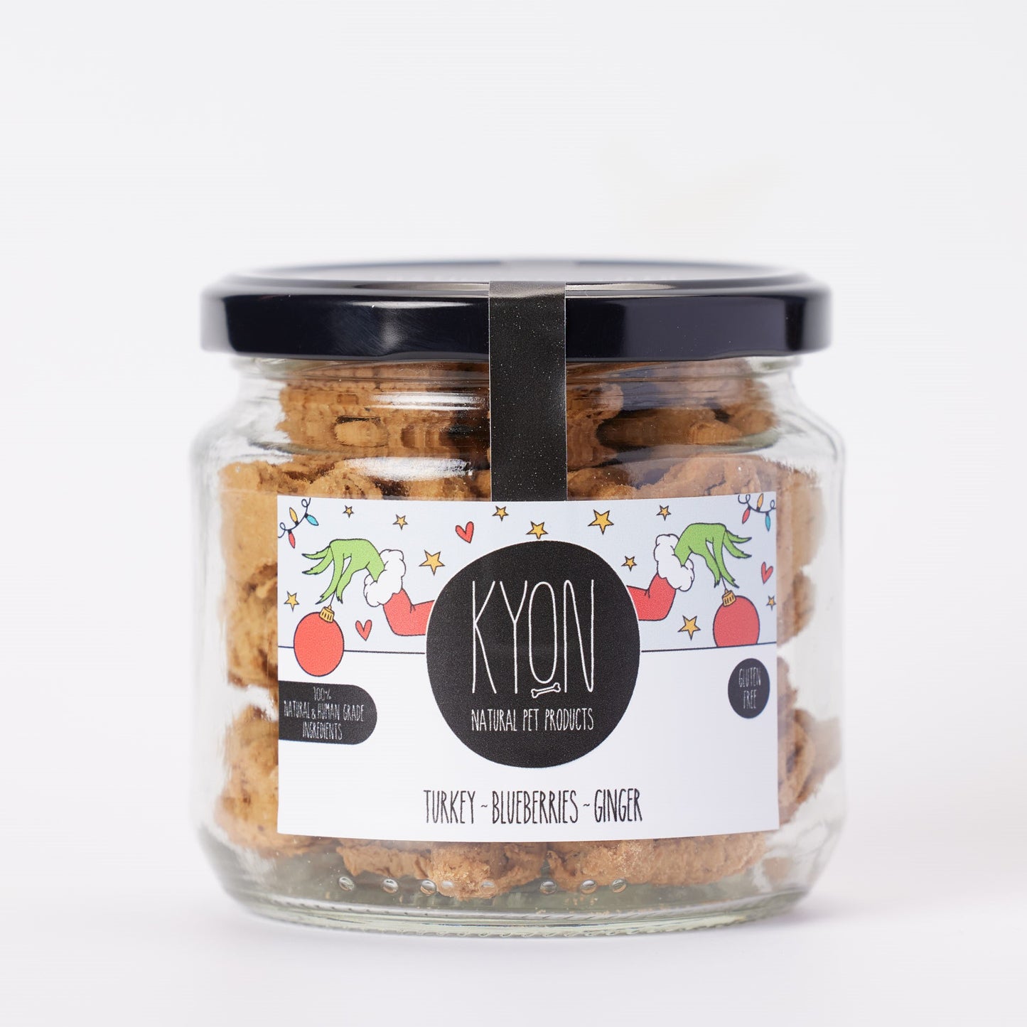 Treats With Turkey-Ginger-Blueberries