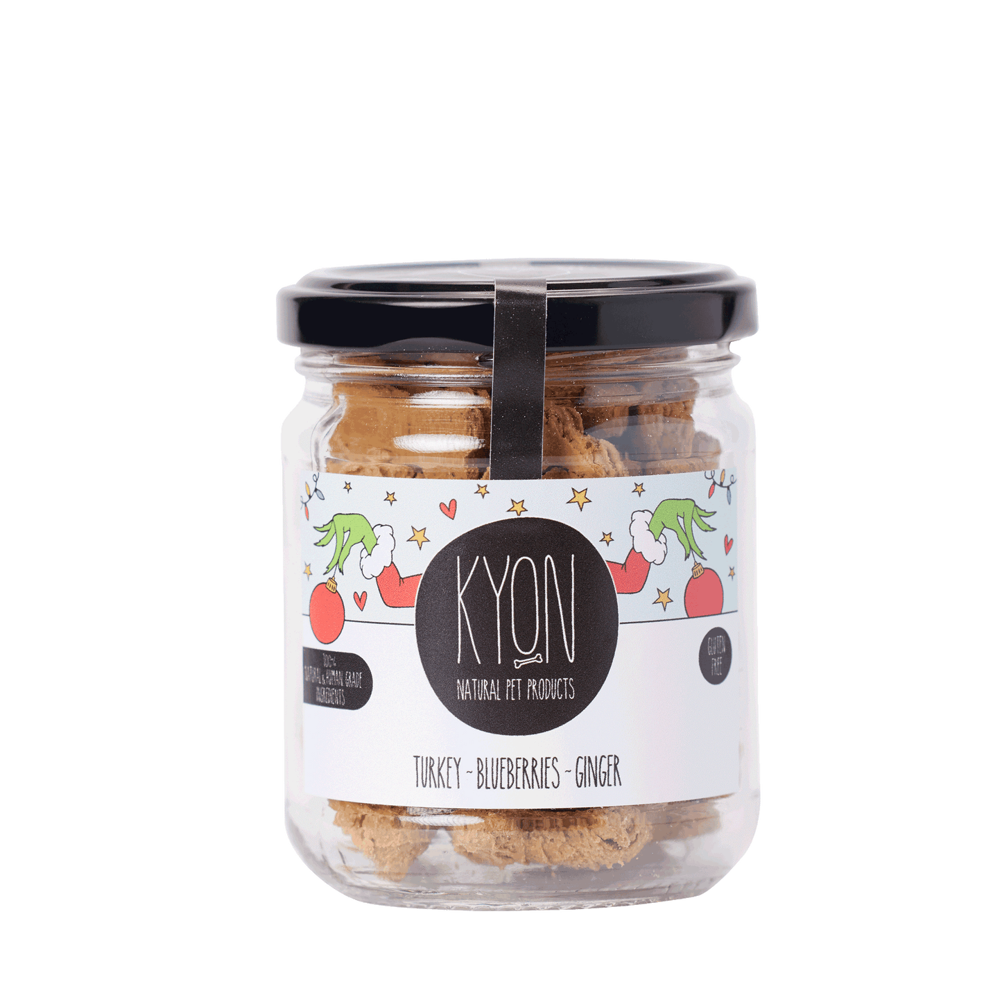 Treats With Turkey-Ginger-Blueberries