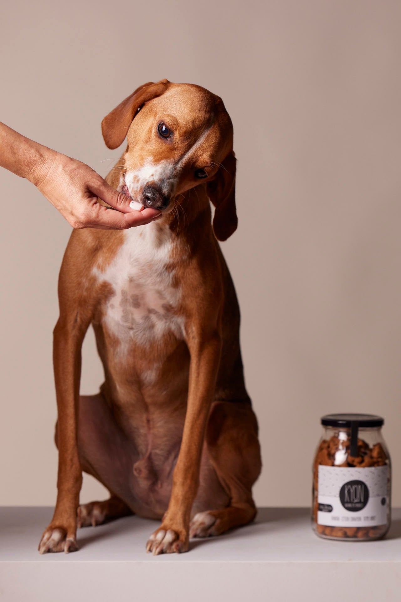 Treats With Banana – Ceylon Cinnamon – Thyme honey